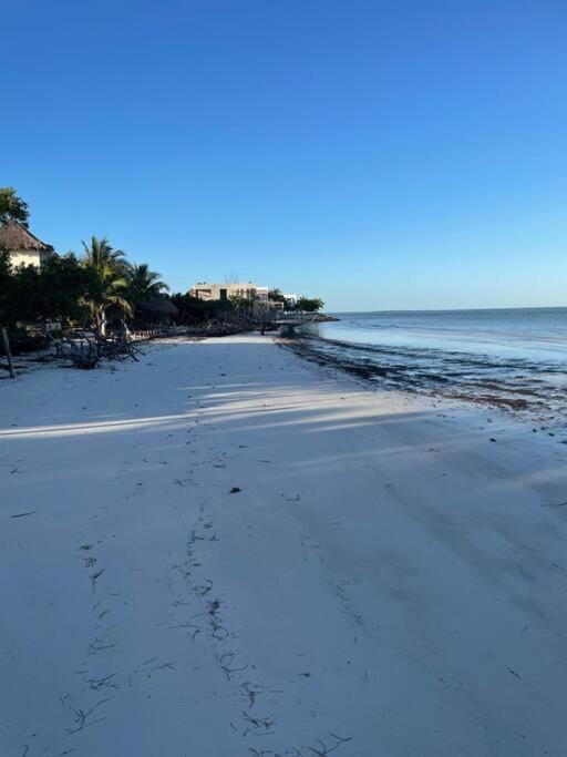 Casa Molly Apartman Isla Holbox Kültér fotó